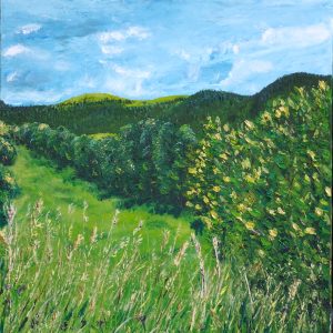 National Park Meadow