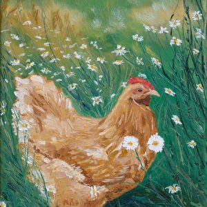 Chicken in the Meadow
