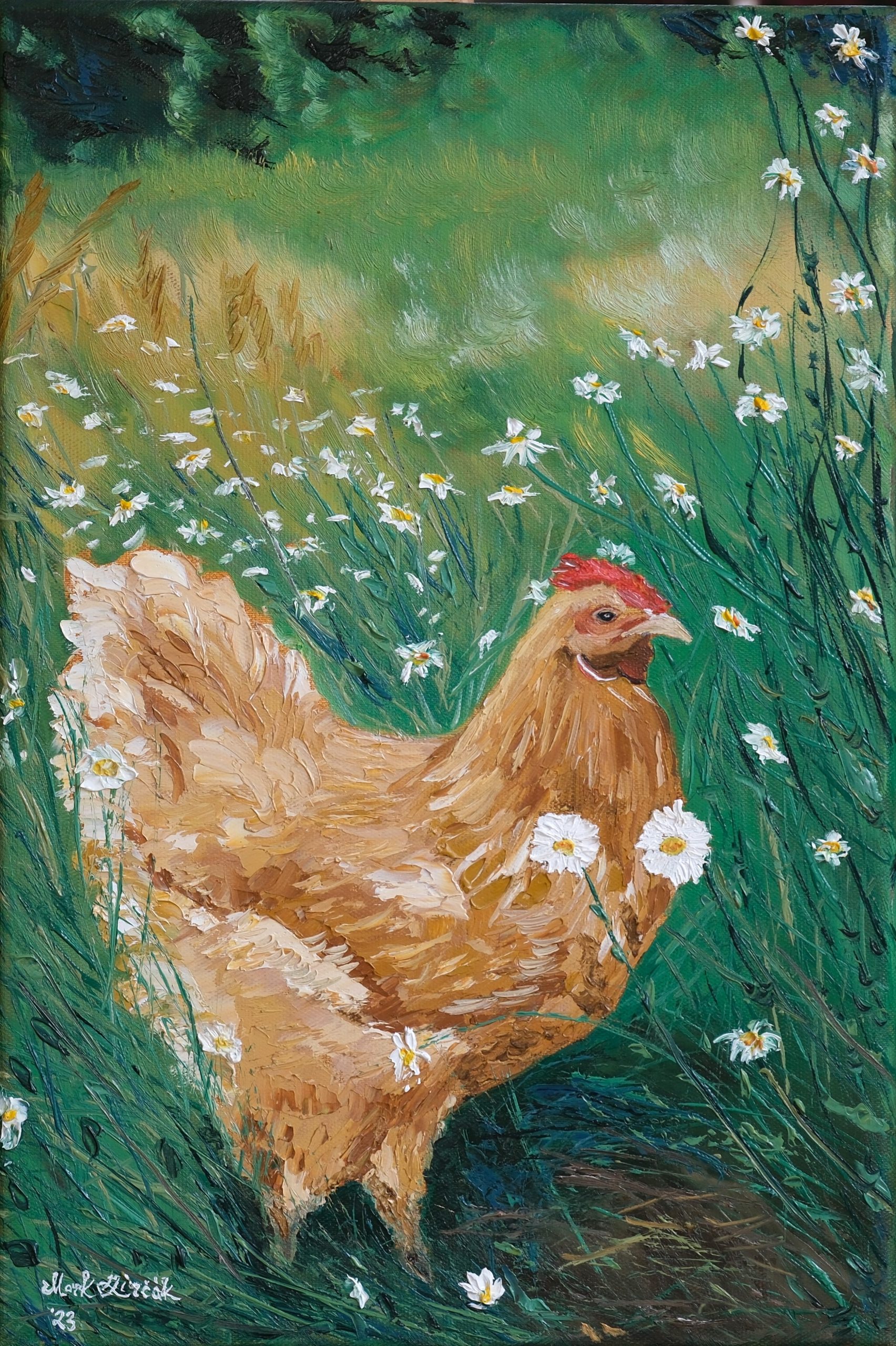 Chicken in the Meadow