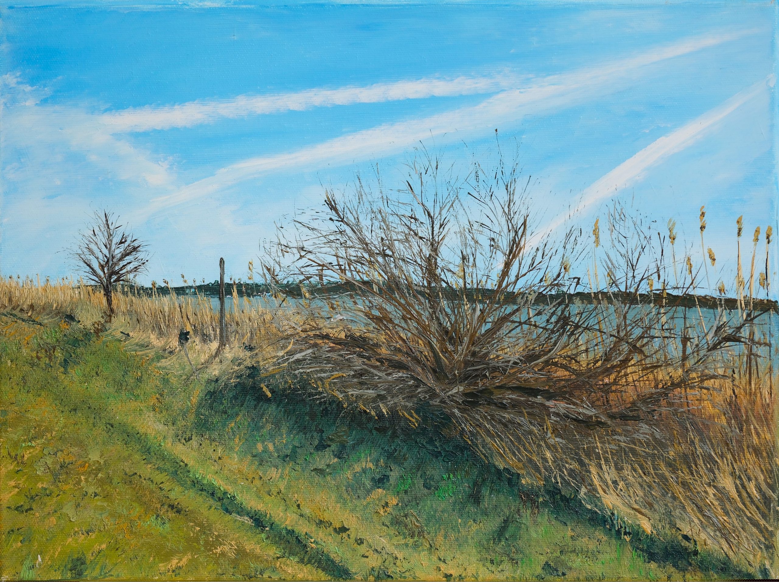 Danube River