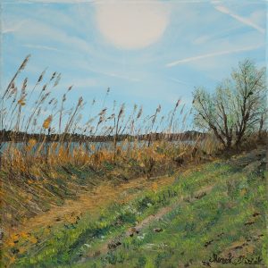 Whispers of the Danube