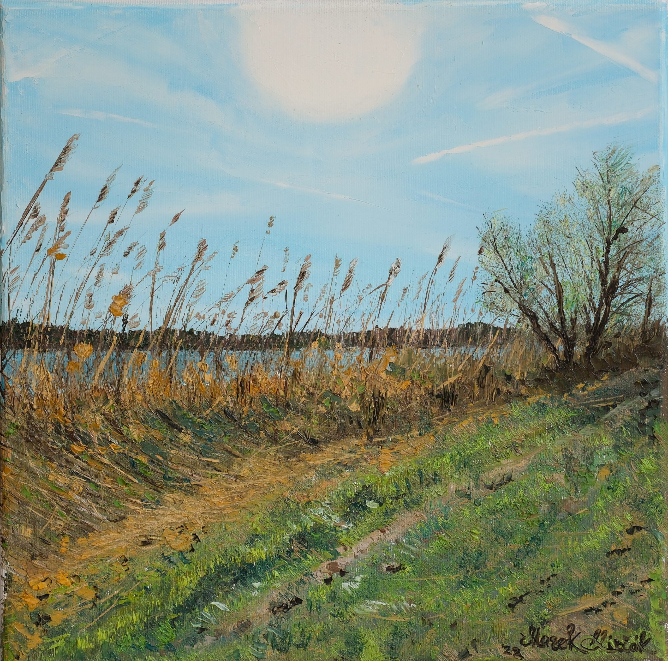 Whispers of the Danube