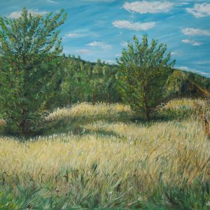 "Old Vineyard" – Original Oil Painting by Mark Kircak