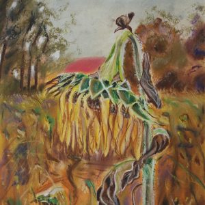 "Sunflower" – Original Pastel by Mark Kircak