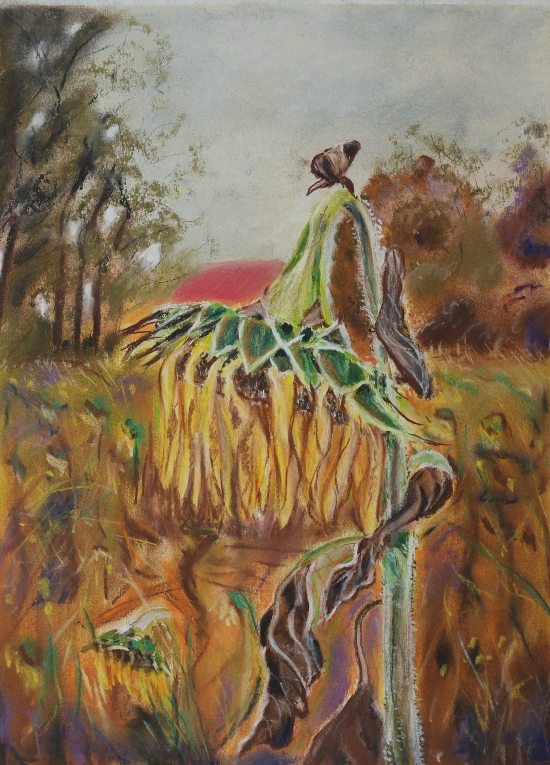 "Sunflower" – Original Pastel by Mark Kircak