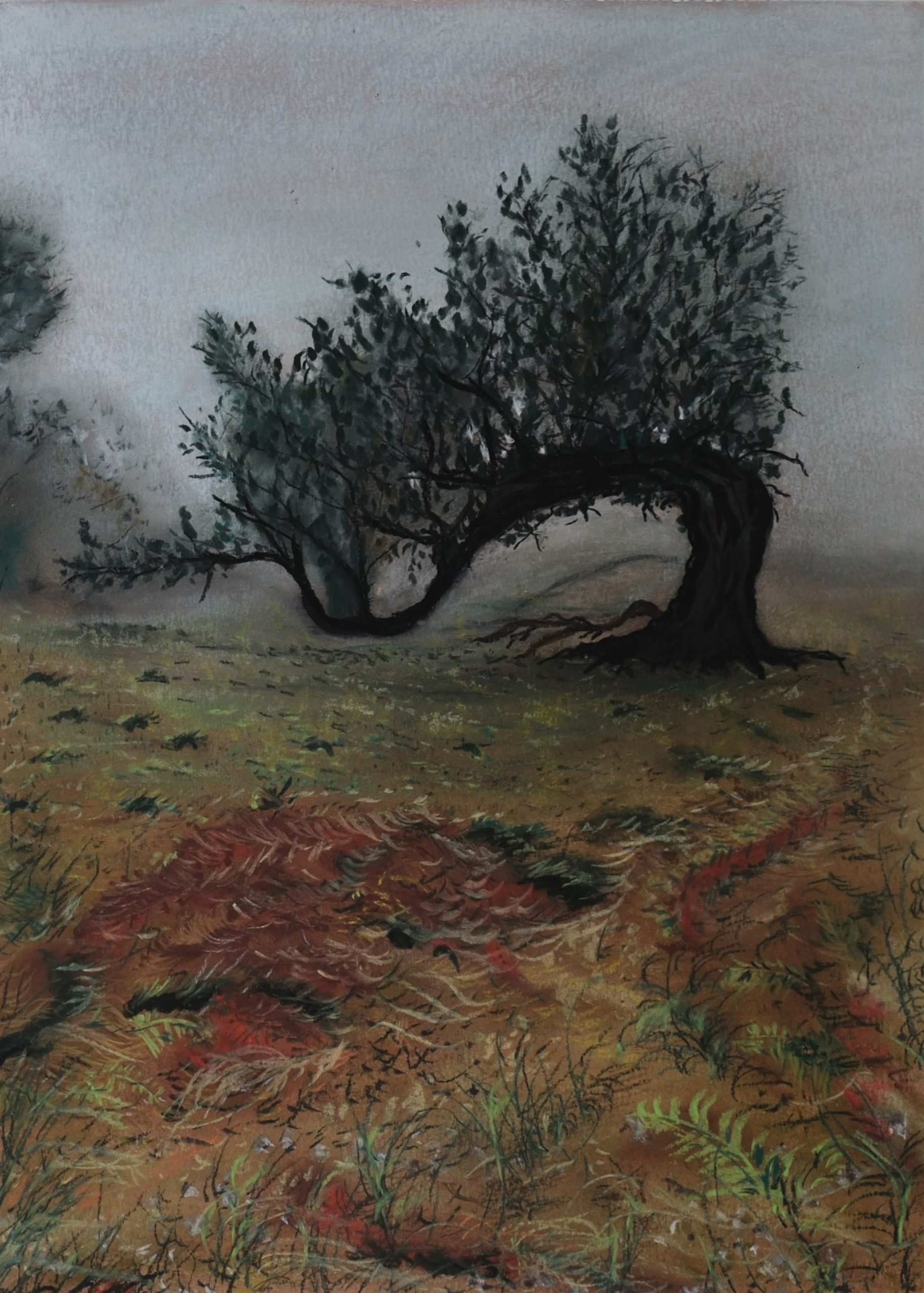 "Old Tree" – Original Pastel by Mark Kircak