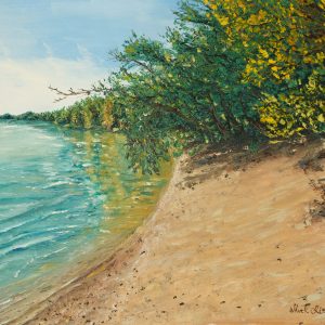 Danube Beach Serenity