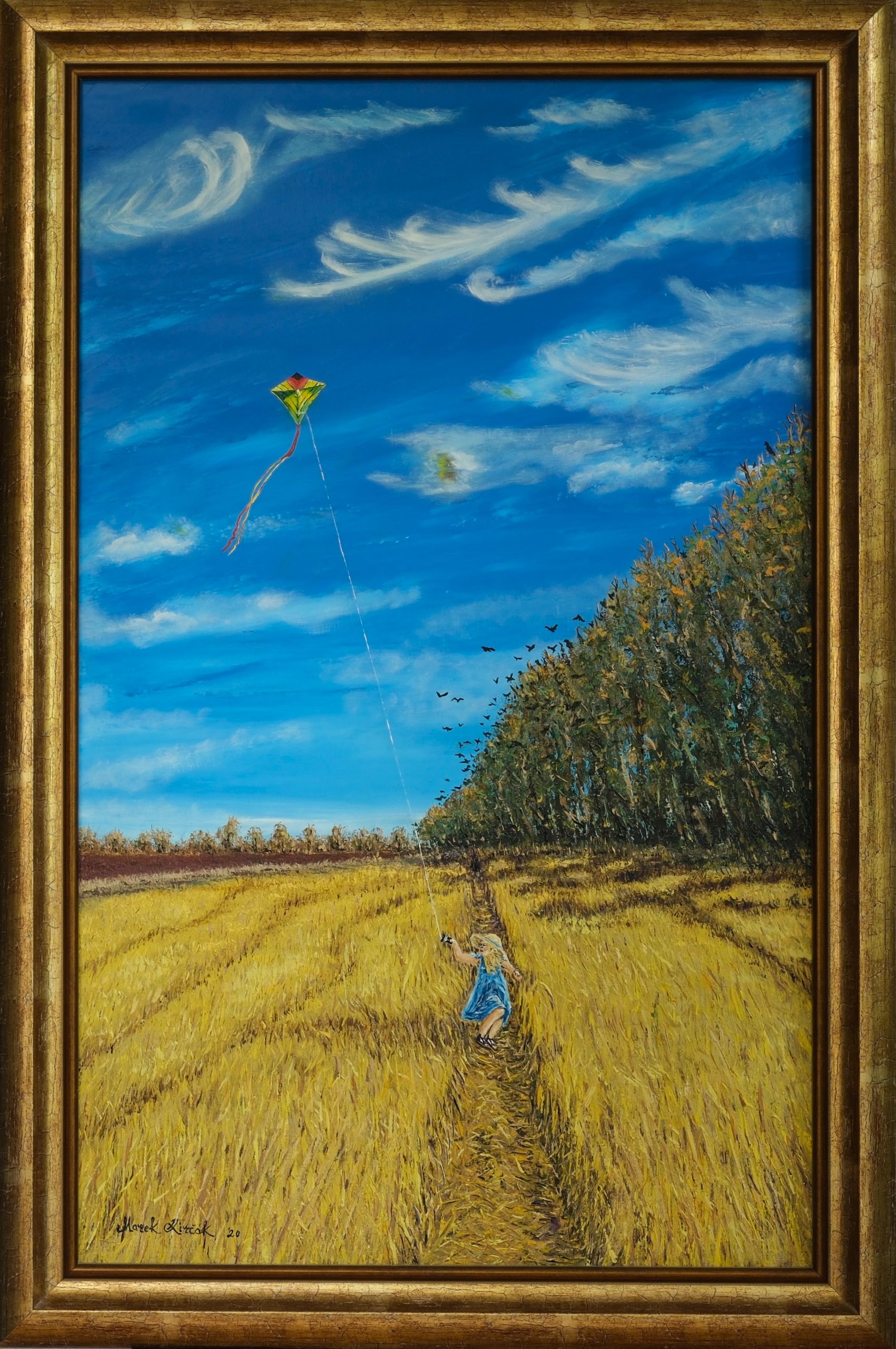 Soaring Kite Skies