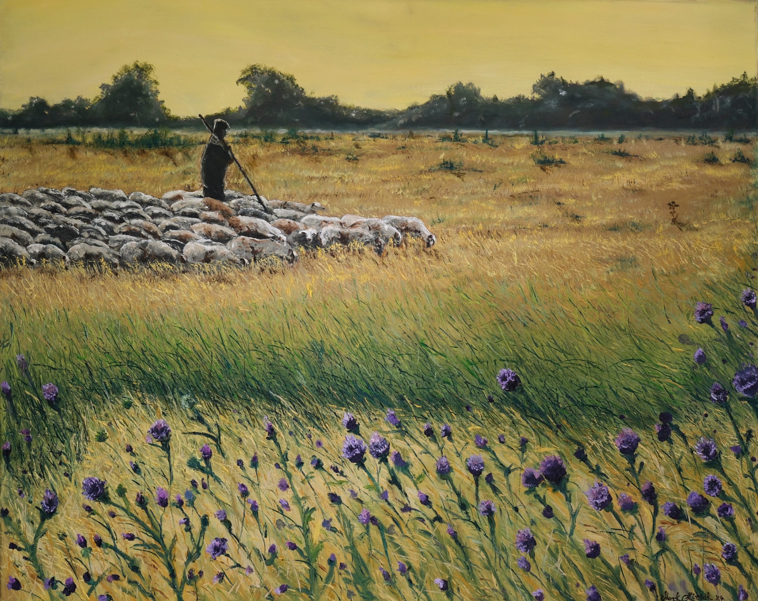 Shepherd's Watch