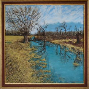Reflections of Wetland