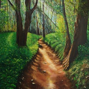 Enchanted Forest
