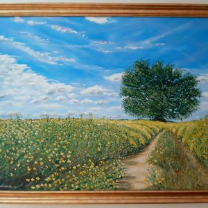 Meadow